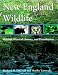 Image: Shopper's Delight: Animal Ecology in The Books Store ~ New England Wildlife: Habitat, Natural History, And Distribution