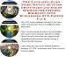 The Fantastic Earn More Money, Success Principles and Sales Models for Fitness Books On-line Businesses 3 CD Power Pack