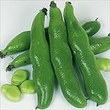 【メール便配送】　国華園　野菜たね　マメ　早生そら豆　1袋(25ml入)