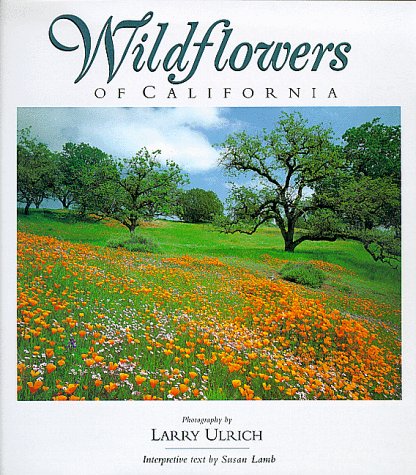 wildflowers of california