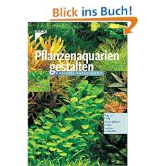 Pflanzenaquarien gestalten