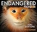 Endangered: Photo Ark 2016 Boxed/Daily Calendar