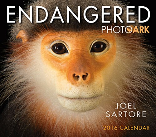 endangered photo ark 2016 boxeddaily calendar