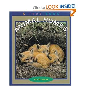 Animal Homes Book