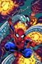 Spider-Man: The Other