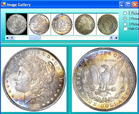 Coin Collector's Survival Manual Software