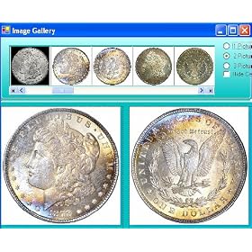 Coin Collector's Survival Manual Software
