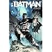 Batman, Tome 1 : La cour des hiboux