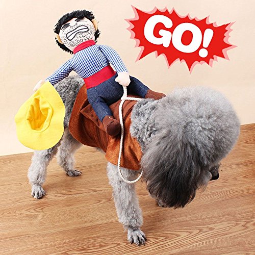 HuaYang Fancy Funny Pet Dog Teddy Cute Costumes Novel Riding Cowboy Knight