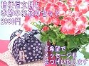 【父の日ギフト】桔梗信玄餅と季節のお花のセット
