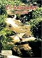 El Salvador the Land (Lands, Peoples, & Cultures (Paperback))