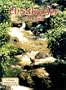 El Salvador the Land (Lands, Peoples, & Cultures)