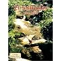El Salvador: The Land (Lands, Peoples, and Cultures)