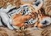 Dimensions Counted Cross Stitch, Beguiling Tiger