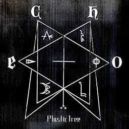 echo(初回限定盤)