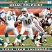 Miami Dolphins 2010 Wall Calendar