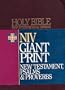 Holy Bible: New International Version, containing New Testament and Psalms