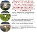 Massive Cash Flow Pack with Generate Extra Cash, Inner Game and eCommerce for Home Security Systems Businesses 3 CD Combo Pack