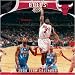 Chicago Bulls 2008 Wall Calendar