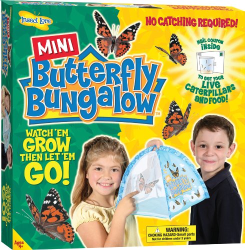 Mini Butterfly Bungalow with Coupon for Live Butterflies