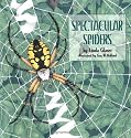 Spectacular Spiders