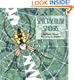 Spectacular Spiders