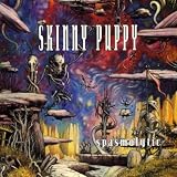 Spasmolytic Ep