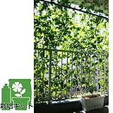 ���i�̏ڍ�