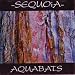 Music : Sequoia