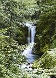Waterfall In Spring 364 Wall Mural