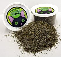Krazy Kitty Catnip (1.5 oz)
