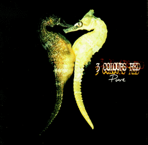 3 Colours Red - Fit Boy + Faint Girl Lyrics - Zortam Music