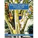Behavior Principles in Everyday Life (4th Edition)