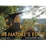 At Nature's Edge: Frank Lloyd Wright's Artist Studio