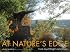 At Nature's Edge: Frank Lloyd Wright's Artist Studio
