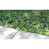 Wyndham House™ 4pc Stainless Steel Solar Garden Light Set