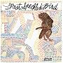 Great Speckled Bird