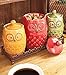 4 Piece Whimsical Ceramic Owl Canister & Metal Tray Kitchen Decor