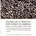 Sounds of a Tropical Rain Forest: Produced for the