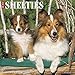 2016 Just Shelties Wall Calendar