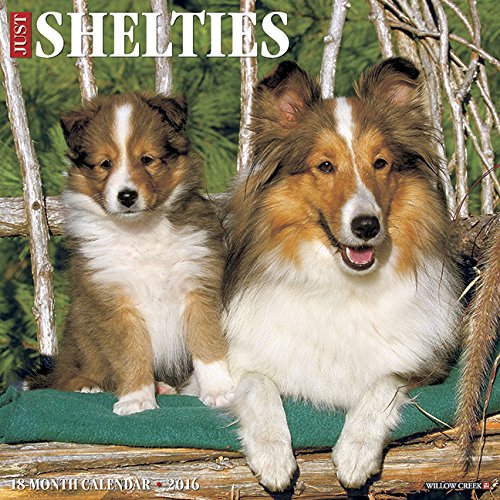 2016 Just Shelties Wall Calendar