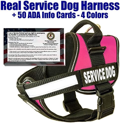 barkOutfitters Service Dog Vest Harness + 50 ADA Info Cards Kit (Pink, (20" - 24") Girth
