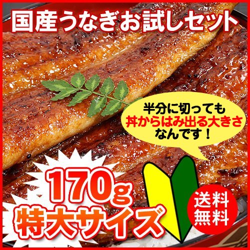 国産特大 うなぎ お試しセット