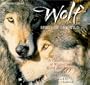 Wolf: Spirit of the Wild : A Celebration of Wolves in Word and image