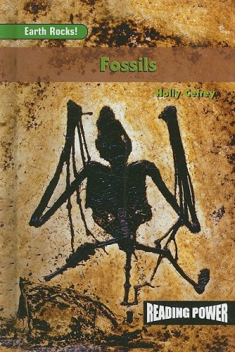 Fossils (Reading Power: Earth Rocks)