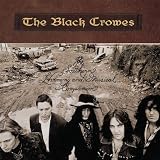 The Southern Harmony and Musical Companion [Vinyl]