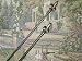 Fleur De Lis Adjustable Tapestry Rod (48 to 84 in.) Image