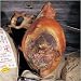 Gourmet Food : Southern Smokehouse Ham 13-15 lbs.