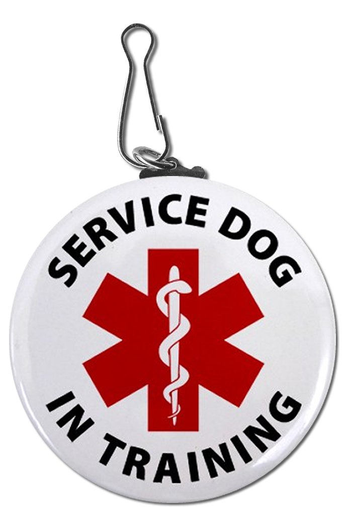 Amazon.com: Creative Clam Red Service Dog In Training Medical ... Amazon.com: Creative Clam Red Service Dog In Training Medical ...