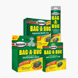 Bag-a-Bug Disposable Trap Set (3 Pack) by Spectrum